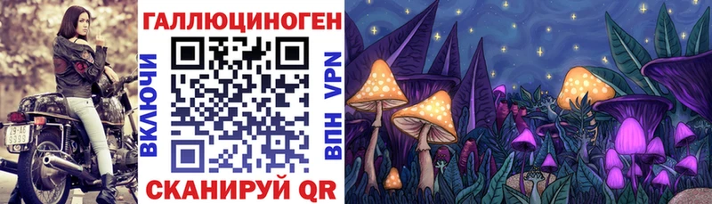 Галлюциногенные грибы MAGIC MUSHROOMS  ОМГ ОМГ   Электрогорск 