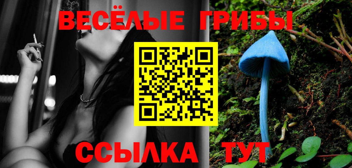 Псилоцибиновые грибы Psilocybine cubensis Электрогорск